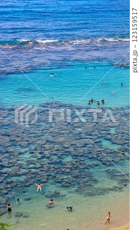 Hawaii Ocean 123159517