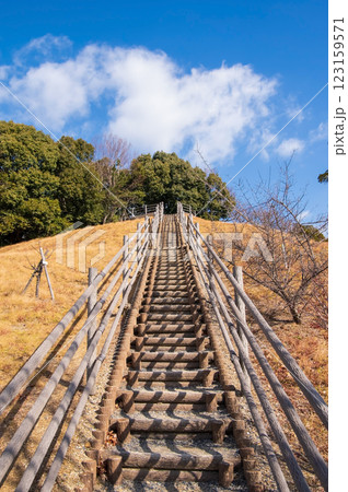 《青空へ続く階段》四日市南部丘陵公園(北ゾーン) 123159571