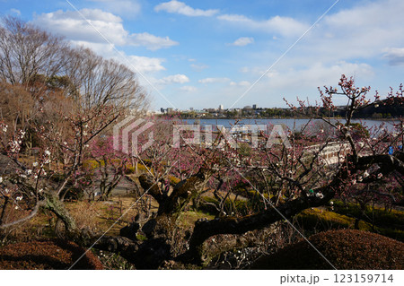 偕楽園からの眺望  偕楽園からの眺望  123159714