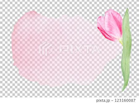 Tulip flower horizontal card on pink watercolor background. Hand painted delicate pink flower, eco design. High quality clip art perfect for mother's day, women's day cards, posters, banners, decor Tulip flower horizontal card on pink watercolor background. Hand painted delicate pink flower, eco design. High quality clip art perfect for mother's day, women's day cards, posters, banners, decor 123160087
