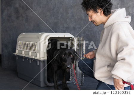 クレート訓練をする大型犬 123160352