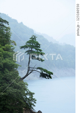 霧に包まれる幻想的な湖 123160550