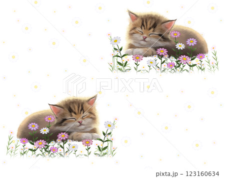 眠っているネコのシームレスパターン（花柄）　J-1 123160634