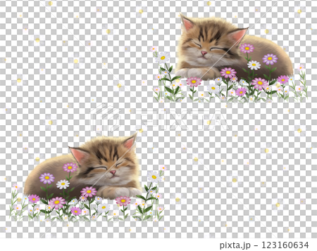眠っているネコのシームレスパターン（花柄）　J-1 123160634