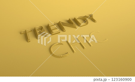 Gold 3D Letters Spelling Trendy Chic on Textured Background 123160900