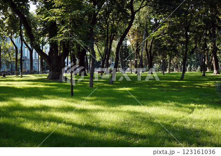 Alleys and paths in the Mariinsky Park of Kiev in summer 123161036