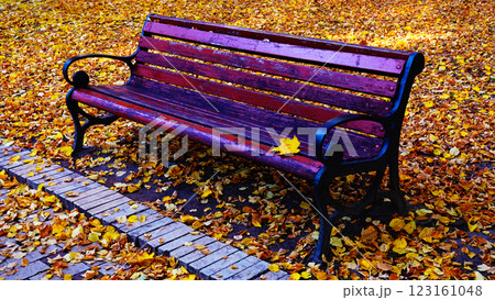 Bench smile in the autumn park Kiev Ukraine 123161048