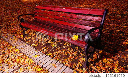 Bench smile in the autumn park Kiev Ukraine 123161060