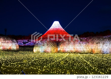 なばなの里イルミネーション・名峰富士《三重県桑名市ナガシマリゾート》 なばなの里イルミネーション・名峰富士《三重県桑名市ナガシマリゾート》 123161229