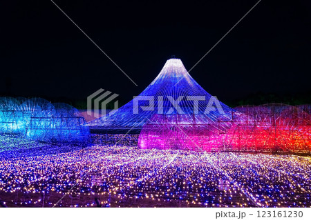 なばなの里イルミネーション・名峰富士《三重県桑名市ナガシマリゾート》 なばなの里イルミネーション・名峰富士《三重県桑名市ナガシマリゾート》 123161230