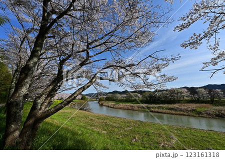春の丹波篠山 123161318