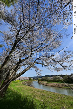春の丹波篠山 春の丹波篠山 123161319