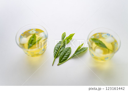 新茶を冷やして頂く 123161442