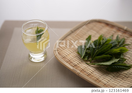 新茶を冷やして頂く 123161469