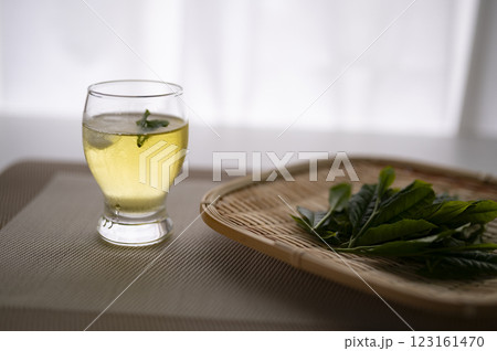 新茶を冷やして頂く 123161470