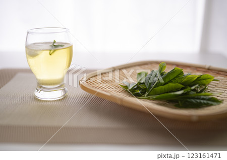 新茶を冷やして頂く 123161471