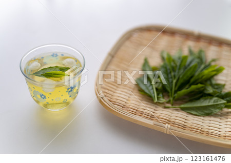 新茶を冷やして頂く 新茶を冷やして頂く 123161476
