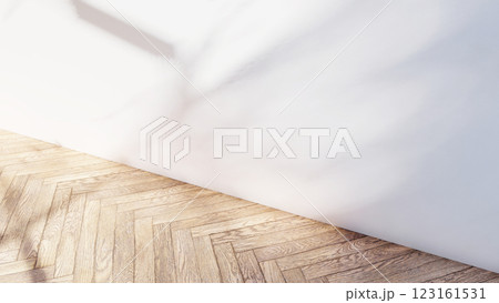 empty interior room shadow wall space background mock up architecture sunlight. empty home modern window light floor design apartment white house indoor. blank minimal concept backdrop bright clean. 123161531