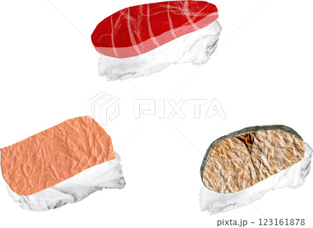 色々なお寿司 色々なお寿司 123161878