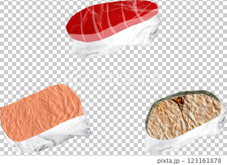 色々なお寿司 色々なお寿司 123161878