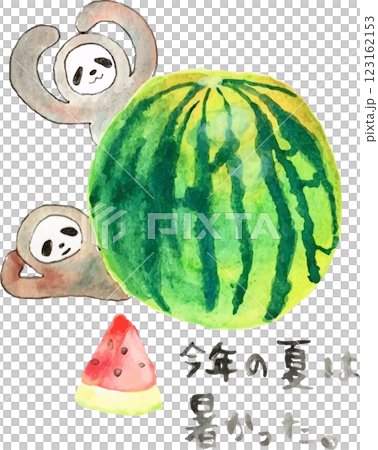 帶有樹懶和西瓜的夏日賀卡 帶有樹懶和西瓜的夏日賀卡 123162153
