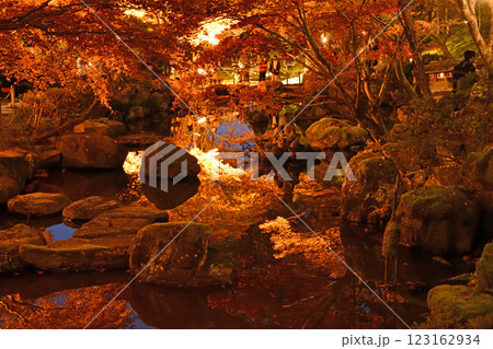 ライトアップされた紅葉 123162934