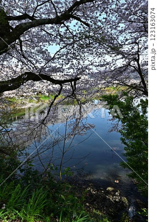 春の篠山城 123163074