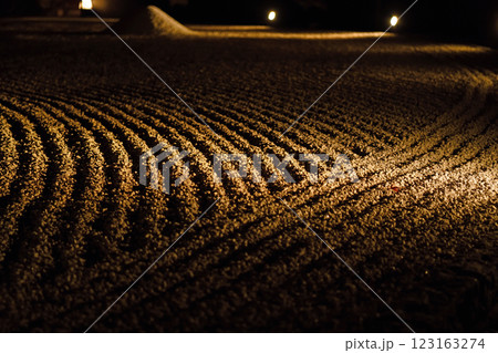 ライトアップされた枯山水 123163274