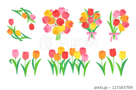 チューリップのセット 123163709