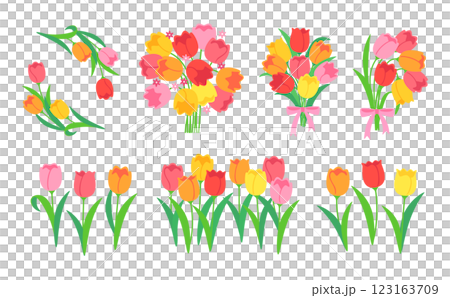 チューリップのセット 123163709