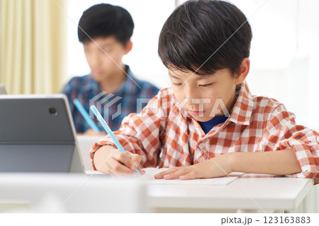真剣な表情で筆記する男子小学生 真剣な表情で筆記する男子小学生 123163883