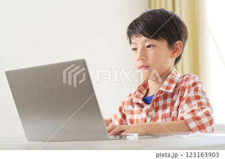 ノートPCを使って勉強をする男子小学生 ノートPCを使って勉強をする男子小学生 123163903