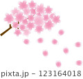 春の訪れ：舞い散るピンクの桜の花びらと満開のピンクの桜の枝 123164018