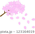 春の訪れ：舞い散るピンク桜の花びらと満開のピンクの桜の枝 123164019