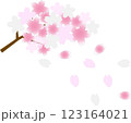 春の訪れ：舞い散る桜の花びらと満開の桜の枝 123164021