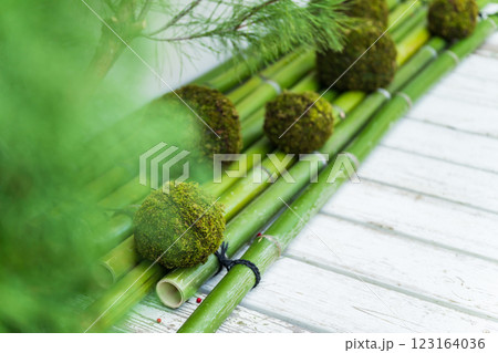 苔玉・正月飾り イメージ 苔玉・正月飾り イメージ 123164036