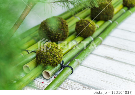 苔玉・正月飾り イメージ 苔玉・正月飾り イメージ 123164037