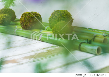 苔玉・正月飾り イメージ 123164047