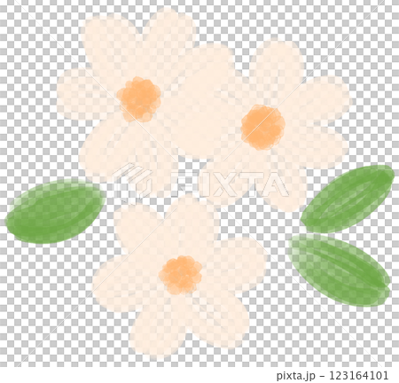 Illustration of a small white Daisy flower blooming Illustration of a small white Daisy flower blooming 123164101
