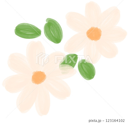 Illustration of a small white Daisy flower blooming Illustration of a small white Daisy flower blooming 123164102