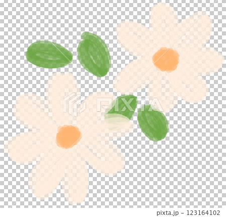 Illustration of a small white Daisy flower blooming Illustration of a small white Daisy flower blooming 123164102