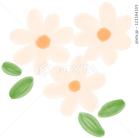 Illustration of a small white Daisy flower blooming Illustration of a small white Daisy flower blooming 123164103