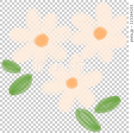 Illustration of a small white Daisy flower blooming Illustration of a small white Daisy flower blooming 123164103