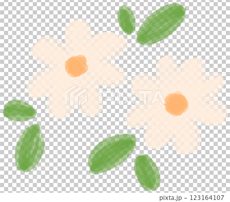 Illustration of a small white Daisy flower blooming Illustration of a small white Daisy flower blooming 123164107