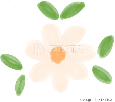 Illustration of a small white Daisy flower blooming Illustration of a small white Daisy flower blooming 123164108