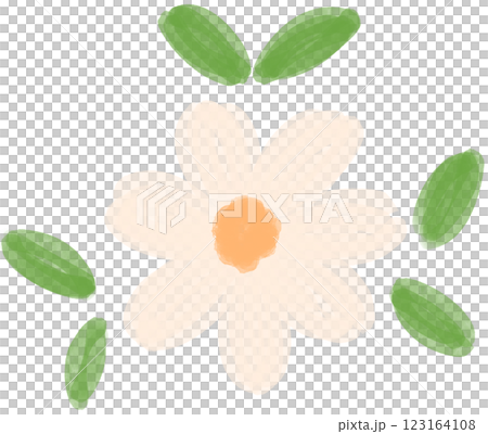 Illustration of a small white Daisy flower blooming Illustration of a small white Daisy flower blooming 123164108