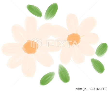 Illustration of a small white Daisy flower blooming Illustration of a small white Daisy flower blooming 123164110