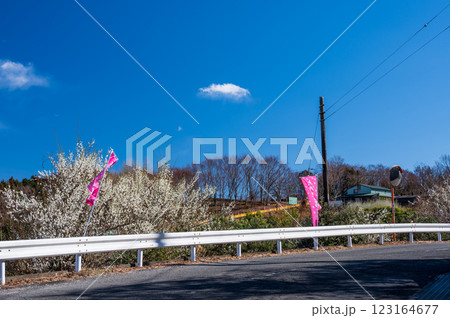 大井町の里風景　早春の里 123164677