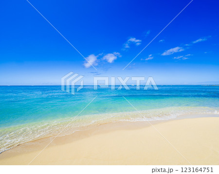 夏・海・ビーチイメージ　ハワイ 123164751