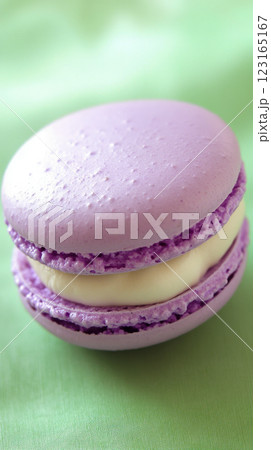 Lavender colored macaron on green background. Concept of French pastries, sweet desserts, baking treats, gourmet delicacies. Vertical shot Lavender colored macaron on green background. Concept of French pastries, sweet desserts, baking treats, gourmet delicacies. Vertical shot 123165167